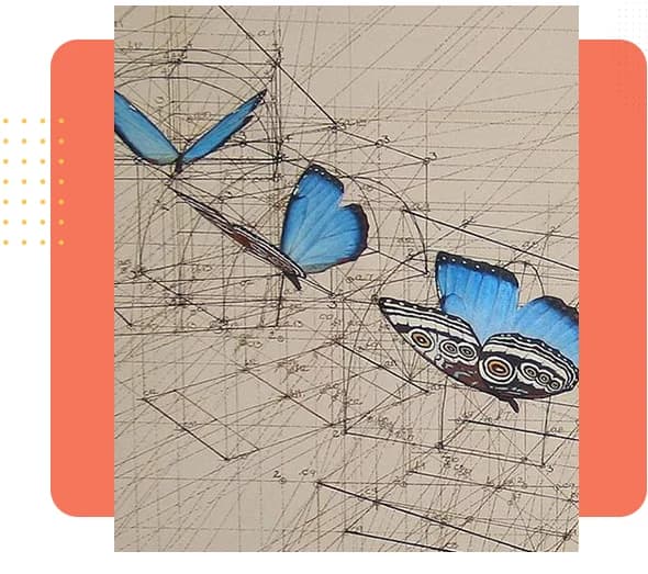 Order Of The Universe