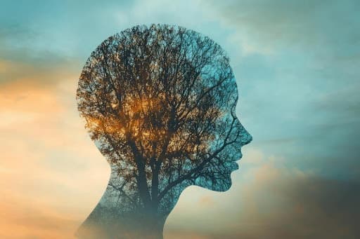 The LLP Path To Living Consciously – Part 3